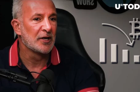Bitcoin Critic Peter Schiff Says He Predicted Current Bitcoin Fall, Here’s How