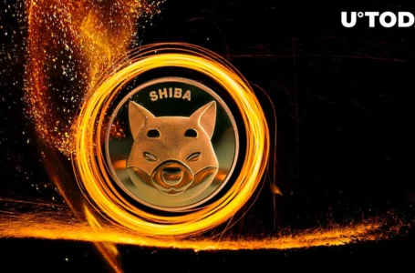 New SHIB Burn Portal Detected, While 105 Million SHIB Gets Removed
