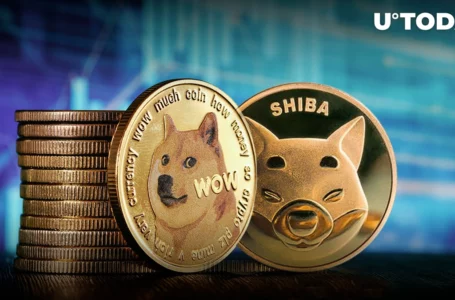SHIB, DOGE, ETH Can Now Be Used for Payments on This US Electronics Marketplace