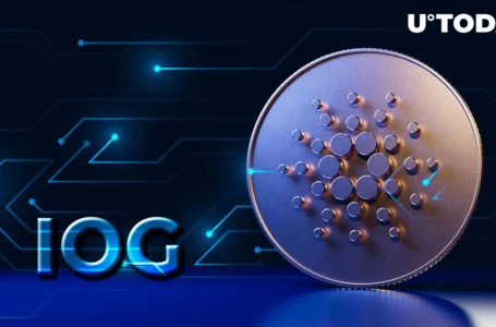 Cardano’s IOG Gives Its Latest Update on State of Things for Vasil