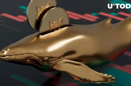 Whales Grab 383.7 Billion SHIB Overnight: Report