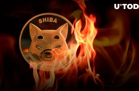 More Than Half Billion SHIB Burned in Past Week as Shiba Inu Returns to Whales’ Radar