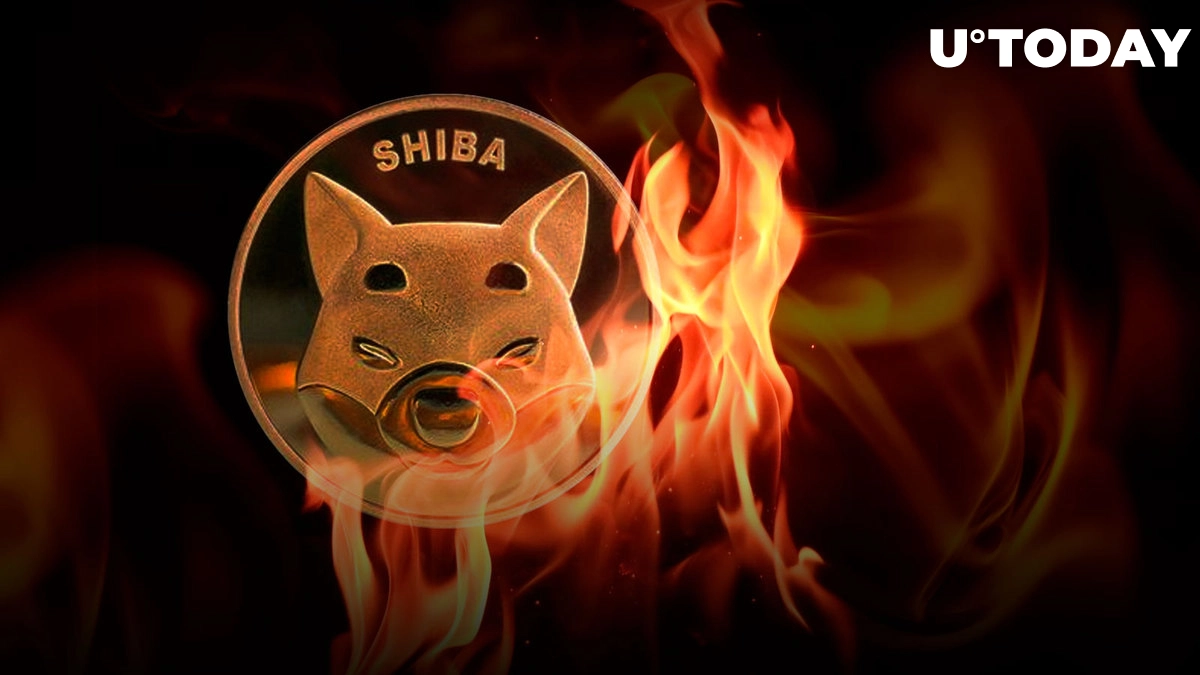 Shiba Inu