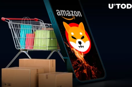 22.8 Million SHIB to Be Burned This Month via Amazon, 125 Million Removed in 24 Hours