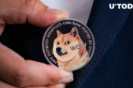 Dogecoin Now Favored by BSC Investors, Here’s Why