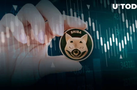 Shiba Inu Large Holders Might Be Timing Market as Transactions Suddenly Spike 84%