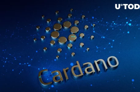 Cardano’s Djed Stablecoin Scores Another Partnership Ahead of Launch