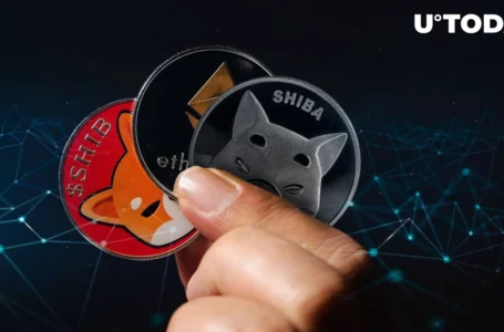 SHIB Keeps Being Actively Used by 500 Largest Ethereum Holders