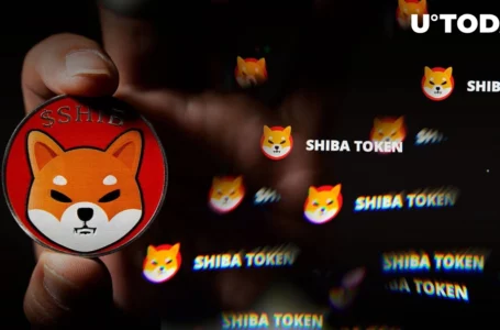 Shiba Inu Social Mentions Reach Highest Point in 3 Months