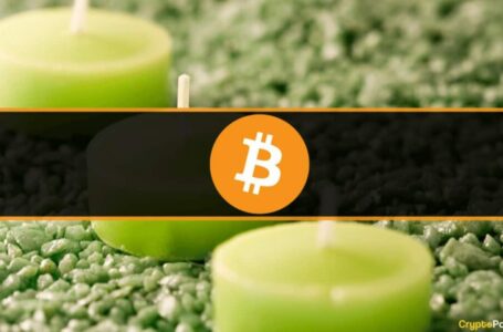 July Became Bitcoin’s Best Month in 2022 With 17% Surge