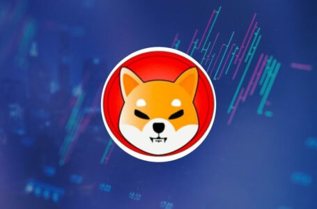 Shiba Inu To See Massive Rally Soon! Here’s What SHIB Holders Can Expect In Coming Week
