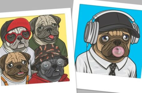 Space Pugs NFT Review: Space Pugs Alpha (SPA), Space Pugs Poker Club (SPPC) and Space Pugs Vox (SPV)