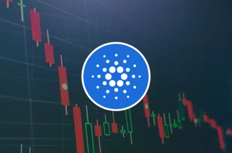 Cardano Price Plunge Hard, What Next For ADA Price?