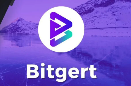 Bitgert Token (BRISE): A Zero-Cost Gas Fee Blockchain