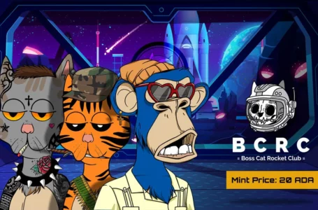 Boss Cat Rocket Club – NFT Collection on Cardano Blockchain