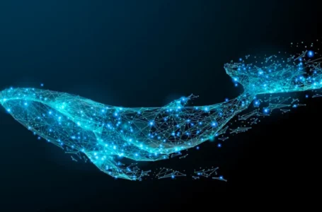 Whales Stablecoin Holding Drop to Its Lowest! What does this mean For Bitcoin (BTC ) Price?