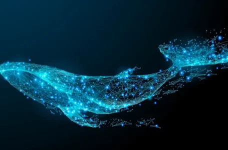 Ancient Bitcoin Whales Re-Enter The Crypto Space After 10 Years! What’s Cooking?
