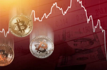 Bear Market To End Soon, Claims ARK Reports. Here Are The Factors Influencing Bitcoin Price.