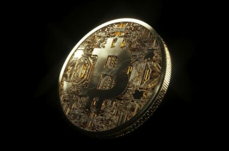 Identifying what’s really in store for Bitcoin miners right now