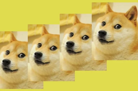 Fractional NFT Markets Slide 76% in Value in 7 Months, Diced-up Doge NFT Still Leads the Pack