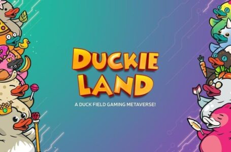 Duckie Land (MMETA): A Metaverse Multiplatform Online Game