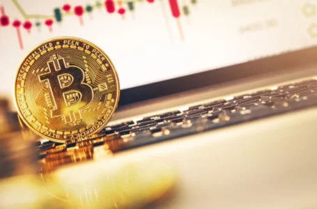 This Bitcoin Indicator Points Massive Bull Run, As Per Expert Tone Vays