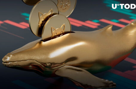 SHIB Gained Solid Traction Among Whales on Day Shiba Eternity Revealed