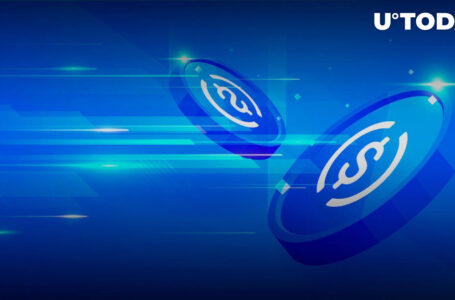 Big Stablecoin Holders Do Not Believe in Rally and Stick to This Strategy