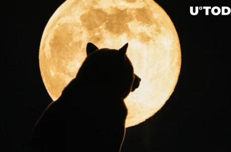 Dogecoin Founder Reveals What Will Send DOGE to Moon