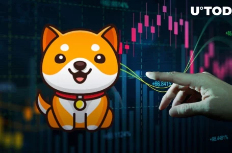 BabyDoge Spikes up 20% Amid Potential Major Crypto Exchange Listing