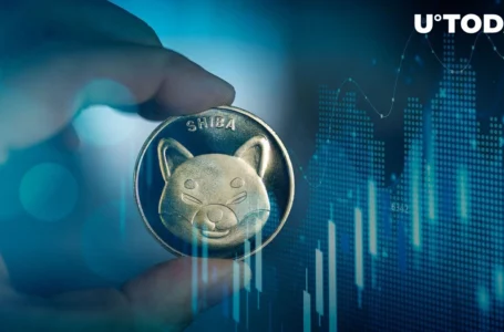 SHIB Reacts Most to Positive Inflation Report with Immediate Spike