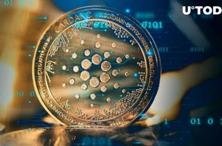 Cardano Blockchain Insights Hide Some Intriguing Stats