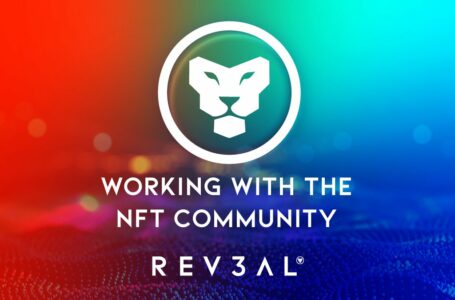 REV3AL Review: Token, NFTs and Digital Copyright Protection Solution