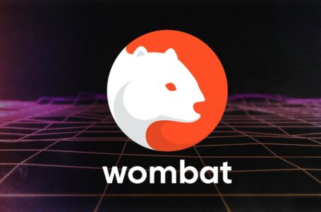 Wombat Review: NFTs and Web3 Gaming Platform