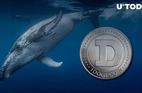 Dogecoin Team Clears up Rumor About Whale Who Holds Almost 30% of All DOGE Supply