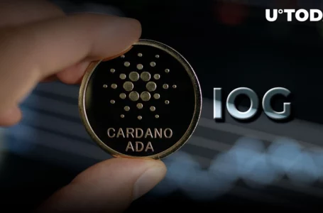 Cardano: Here’s How Far Upcoming Vasil Update Has Progressed, per IOG