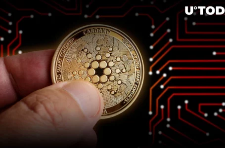 Cardano Sets New Milestone in Native Tokens Issued Following On-chain Growth in August