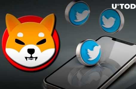 Shiba Inu Shares Mysterious Tweet, Here’s What Community Made of It: Details