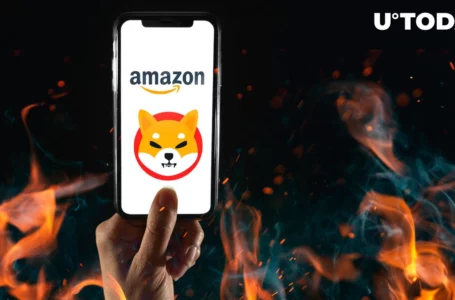 1 Billion SHIB Giveaway Launched by Amazon SHIB Burner: Details