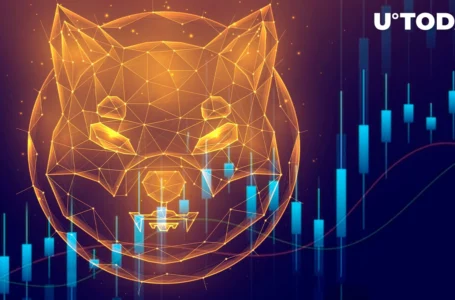 Shiba Inu (SHIB) on Verge of Major Price Move; Here’s Why
