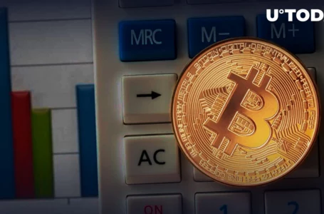 Here Are Results of One of Most Popular Bitcoin Investment Strategies