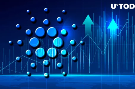 Cardano (ADA) Becomes Most Profitable Asset on Crypto Market