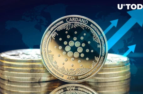 Cardano Surges 13% in One Week, Achieves Best Result in Top 10