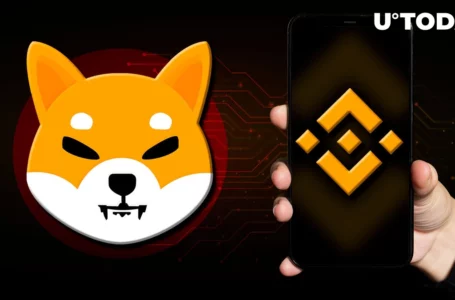 Shiba Inu’s Binance Pay Users Can Now Earn Cashback and Rewards While Spending SHIB: Details