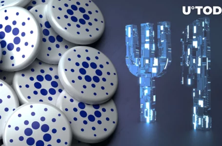 Cardano Ecosystem Gears Up for Vasil Upgrade as Five Exchanges and Projects Confirm Readiness