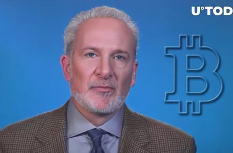 Bitcoin Is Scarce, Peter Schiff Admits, But It Does Not Matter in This Crash