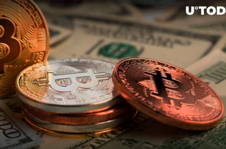 $358 Million Liquidated as Bitcoin Plunges to $18,800: What’s Next?