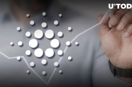 Cardano: Large Investors Continue Buying, Here’s What Might Impact Price