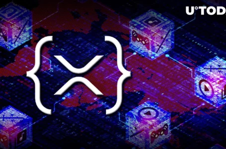 XRPL Set to Launch DeFi and NFT Features Soon; Here’s How Far This Has Gone