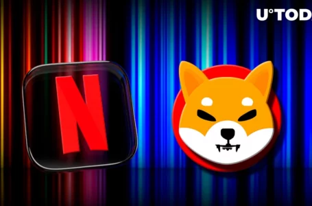 Shiba Inu Welcomes Netflix Entertainer to Its Metaverse Team